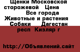 Щенки Московской сторожевой › Цена ­ 35 000 - Все города Животные и растения » Собаки   . Дагестан респ.,Кизляр г.